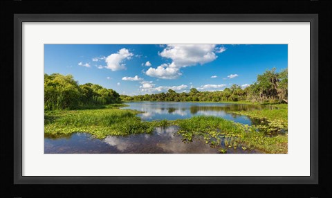 Framed Deer Prairie Creek Preserve, Sarasota County, Venice, Florida Print