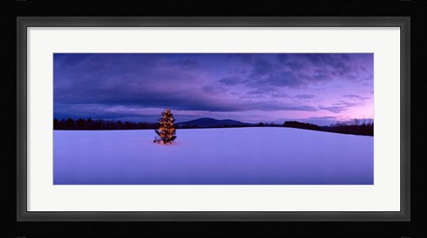 Framed Christmas Tree in the Snow, New London, New Hampshire Print