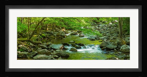 Framed Creek in Great Smoky Mountains National Park, Tennessee Print