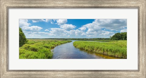 Framed Myakka River State Park, Sarasota, Florida Print