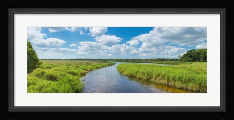 Framed Myakka River State Park, Sarasota, Florida Print