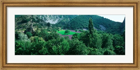 Framed Cherry Trees in Lavender fField, Provence-Alpes-Cote d&#39;Azur, France Print