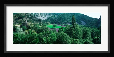 Framed Cherry Trees in Lavender fField, Provence-Alpes-Cote d'Azur, France Print