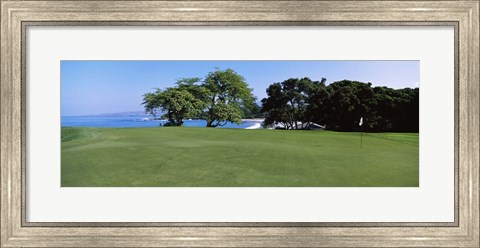 Framed Trees on a Golf Course, Manua Kea, Hawaii Print