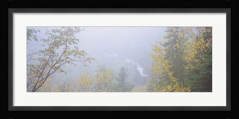 Framed Brule River, Judge C.R. Magney State Park, Minnesota Print
