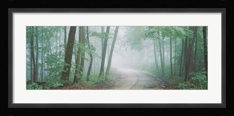 Framed Skyline Drive, Jackson-Washington State Forest, Indiana Print