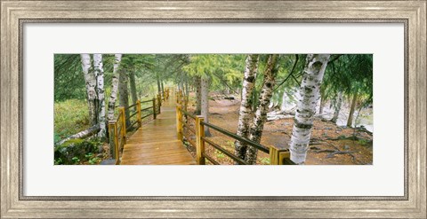 Framed Gooseberry River, Gooseberry Falls State Park, Minnesota Print