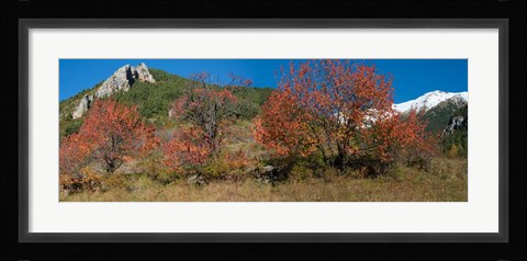 Framed French Riviera Hinterland, Alpes-de-Haute-Provence, Provence-Alpes-Cote d'Azur, France Print