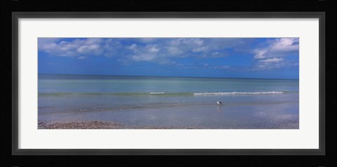 Framed Crescent Beach, Gulf Of Mexico, Florida Print