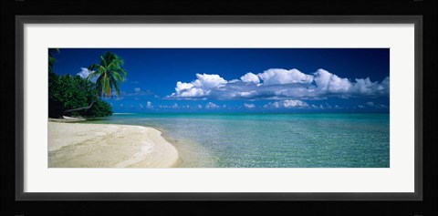 Framed Palm Tree in the French Polynesia Print