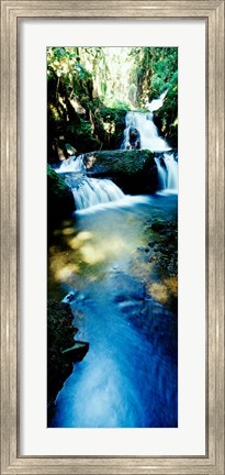 Framed Waterfall in Hilo, HI Print