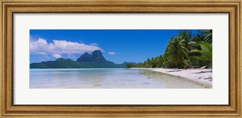 Framed Palm Trees in Bora Bora, French Polynesia Print