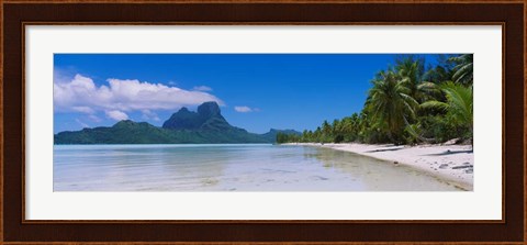 Framed Palm Trees in Bora Bora, French Polynesia Print