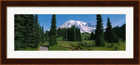 Framed Mt. Rainier National Park, Washington State Print