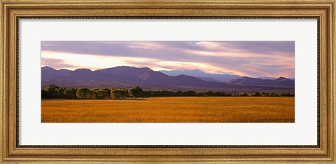 Framed Bosque Del Apache National Wildlife Refuge, New Mexico Print