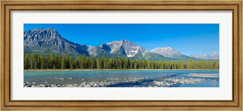 Framed Athabasca River, Icefields Parkway, Jasper National Park, Alberta, Canada Print