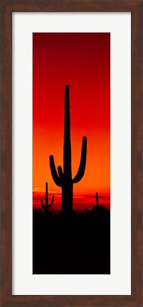 Framed Silhouette of Saguaro Cactus, Arizona Print
