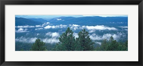 Framed Tonto National Forest, AZ Print