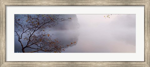 Framed Lake Vesuvius, Wayne National Forest, Ohio, Print