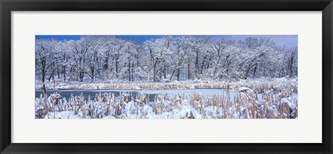 Framed Winter in Illinois Print