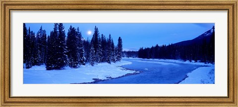 Framed Moon Rising Above The Forest, Banff National Park, Alberta, Canada Print