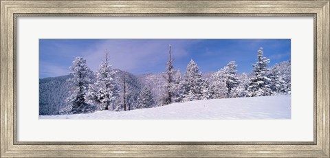 Framed Snow Covered Landscape, Colorado Print