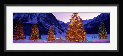 Framed Christmas Trees, Lake Louise, Alberta, Canada Print