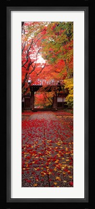 Framed Komyoji Temple, Kyoto, Japan Print