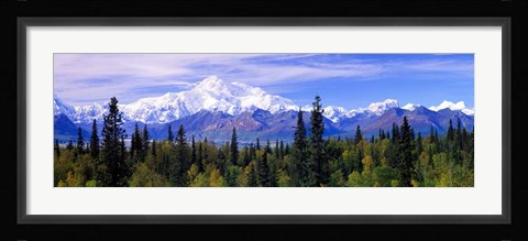 Framed Denali National Park, Alaska Print