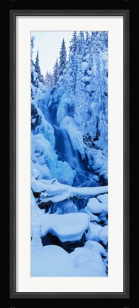 Framed Manning Park, British Columbia, Canada Print