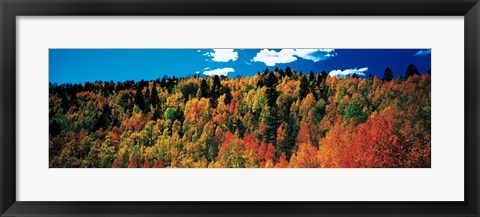 Framed Fall Durango, Colorado Print