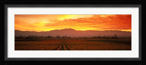 Framed Sunset over Napa Valley Print