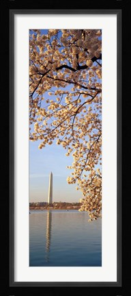 Framed Washington DC Print