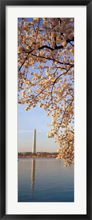 Framed Washington DC Print