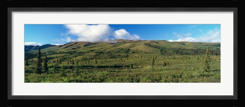 Framed Denali National Park, Alaska Print