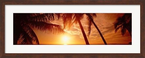 Framed Fort Meyers Florida Sunset Print