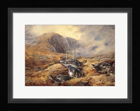 Framed Danger Aloft (LE) Print