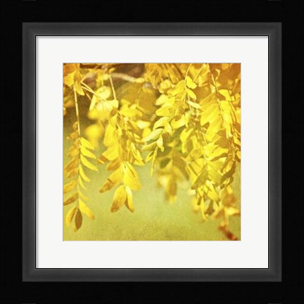 Framed Autumn Photography I Print