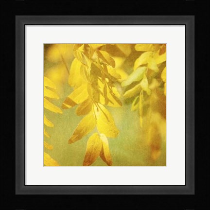 Framed Autumn Photography II Print
