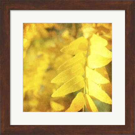 Framed Autumn Photography III Print