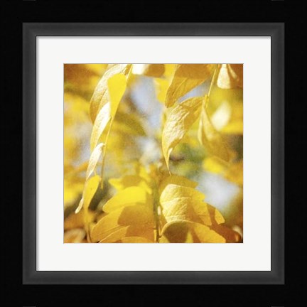 Framed Autumn Photography V Print