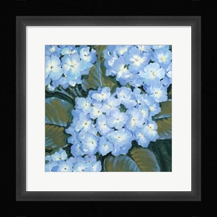 Framed Blue Hydrangeas I Print