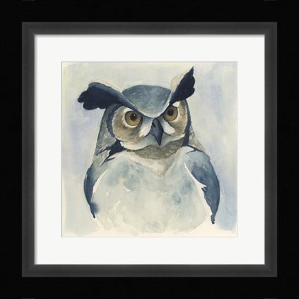 Framed Midnight Aves I Print