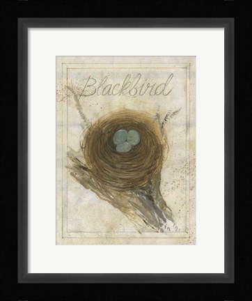 Framed Nest - Blackbird Print