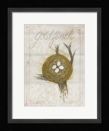 Framed Nest - Goldfinch Print