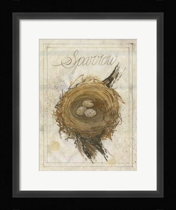 Framed Nest - Sparrow Print