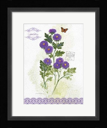Framed Flower Study on Lace II Print