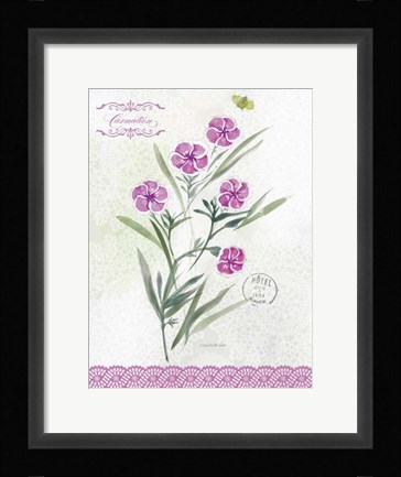 Framed Flower Study on Lace III Print