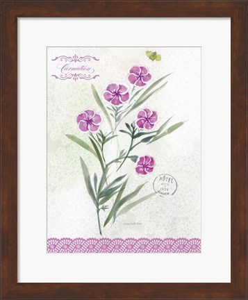Framed Flower Study on Lace III Print