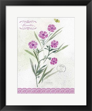 Framed Flower Study on Lace III Print